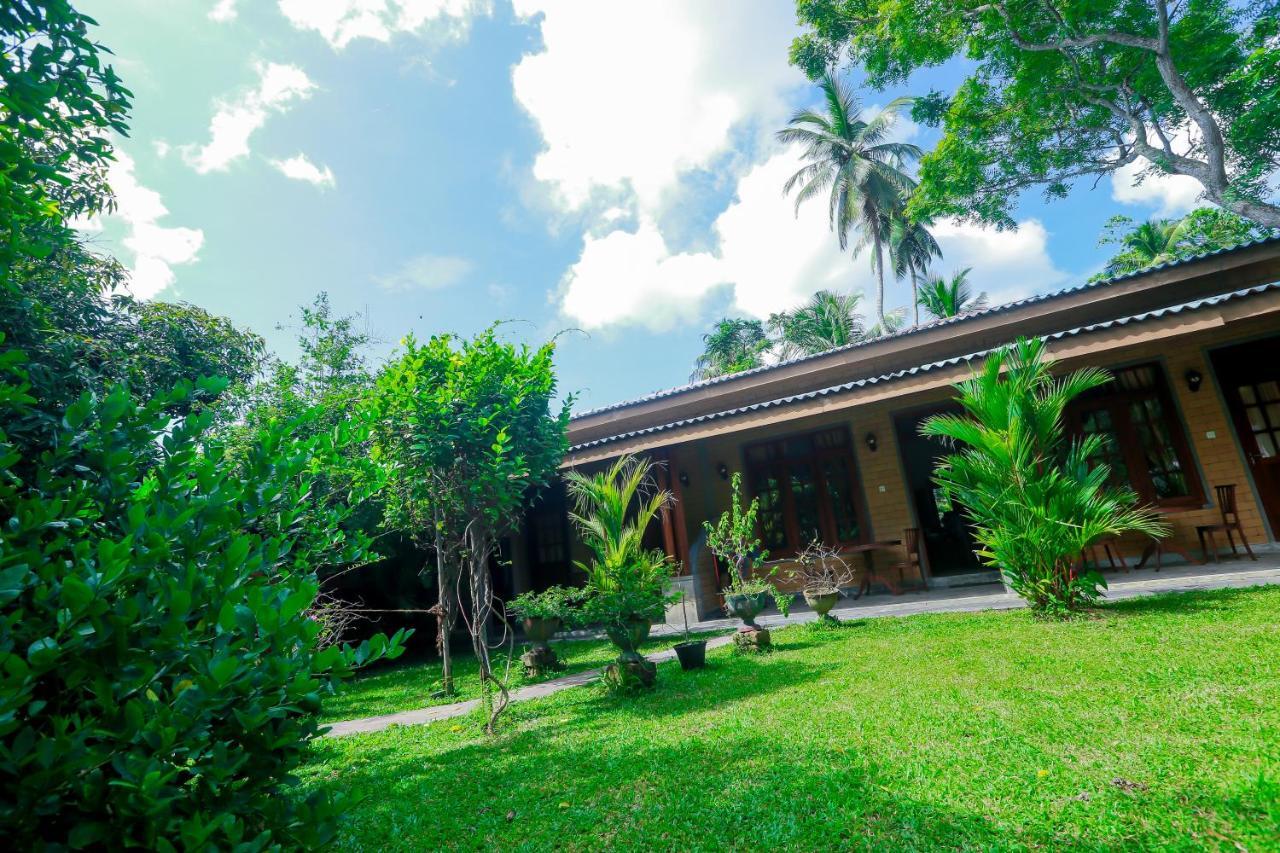 Dandelion - Unawatuna Exterior photo