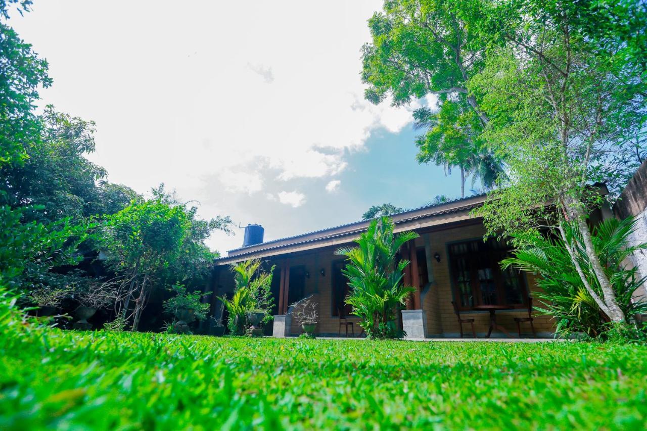 Dandelion - Unawatuna Exterior photo