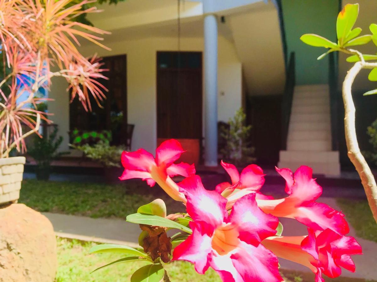 Dandelion - Unawatuna Exterior photo